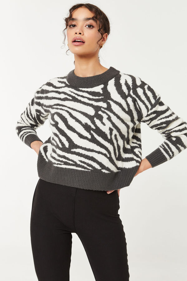 Zebra Boxy Jacquard Sweater