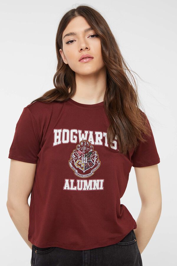 Hogwarts Alumni Tee