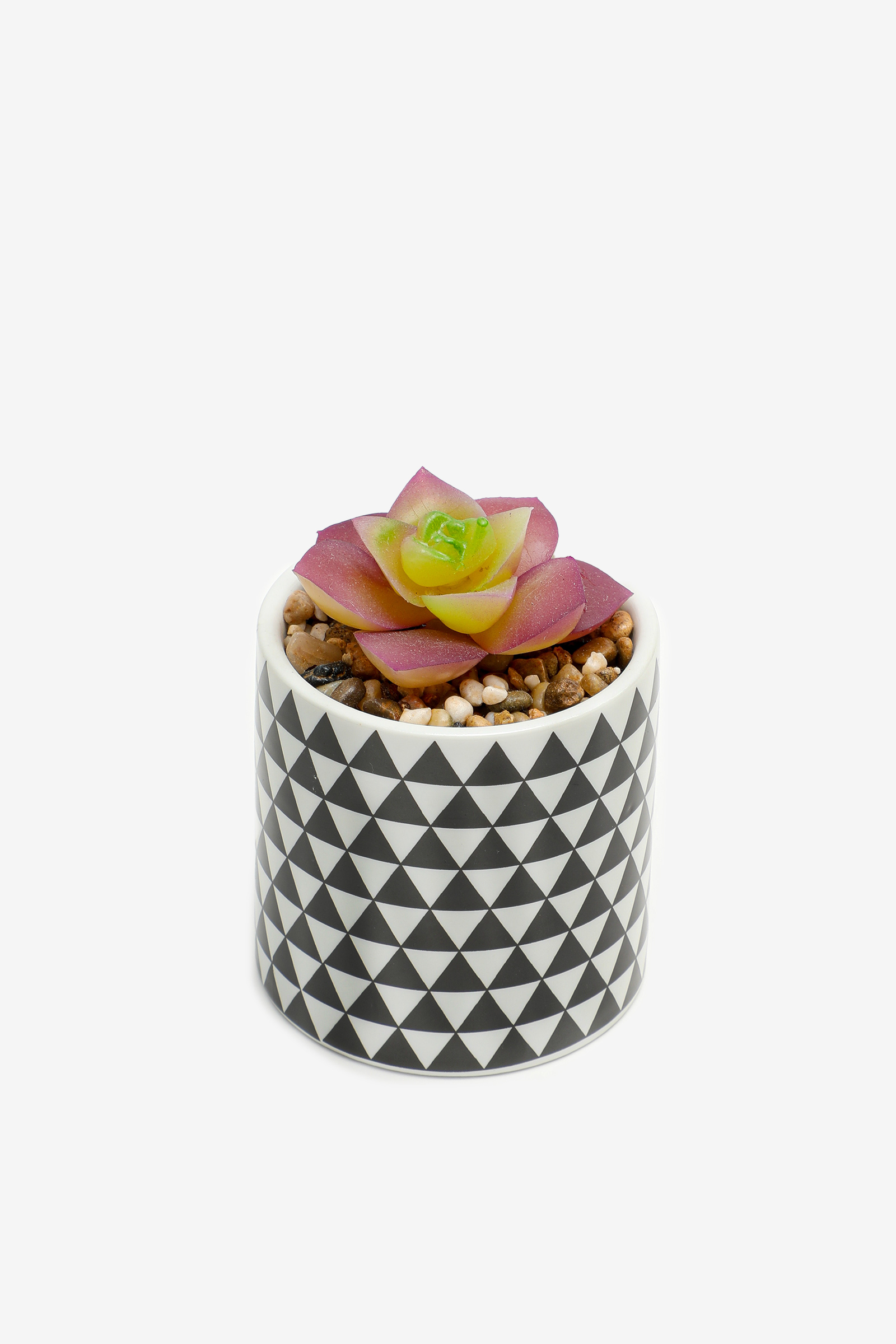 Artificial Plant with Printed Pot